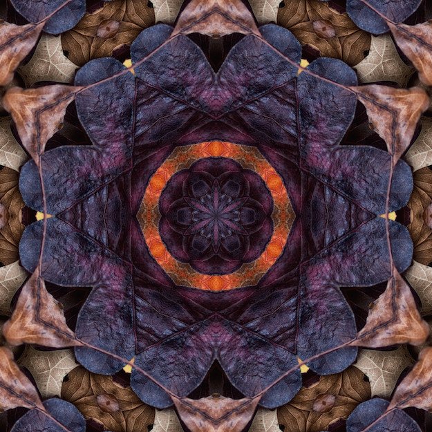 English 1302: Composition II